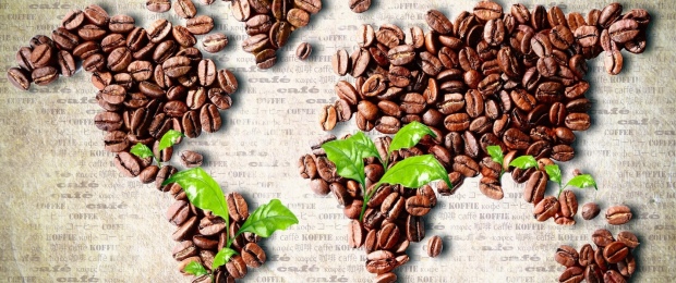 где выращивают кофе